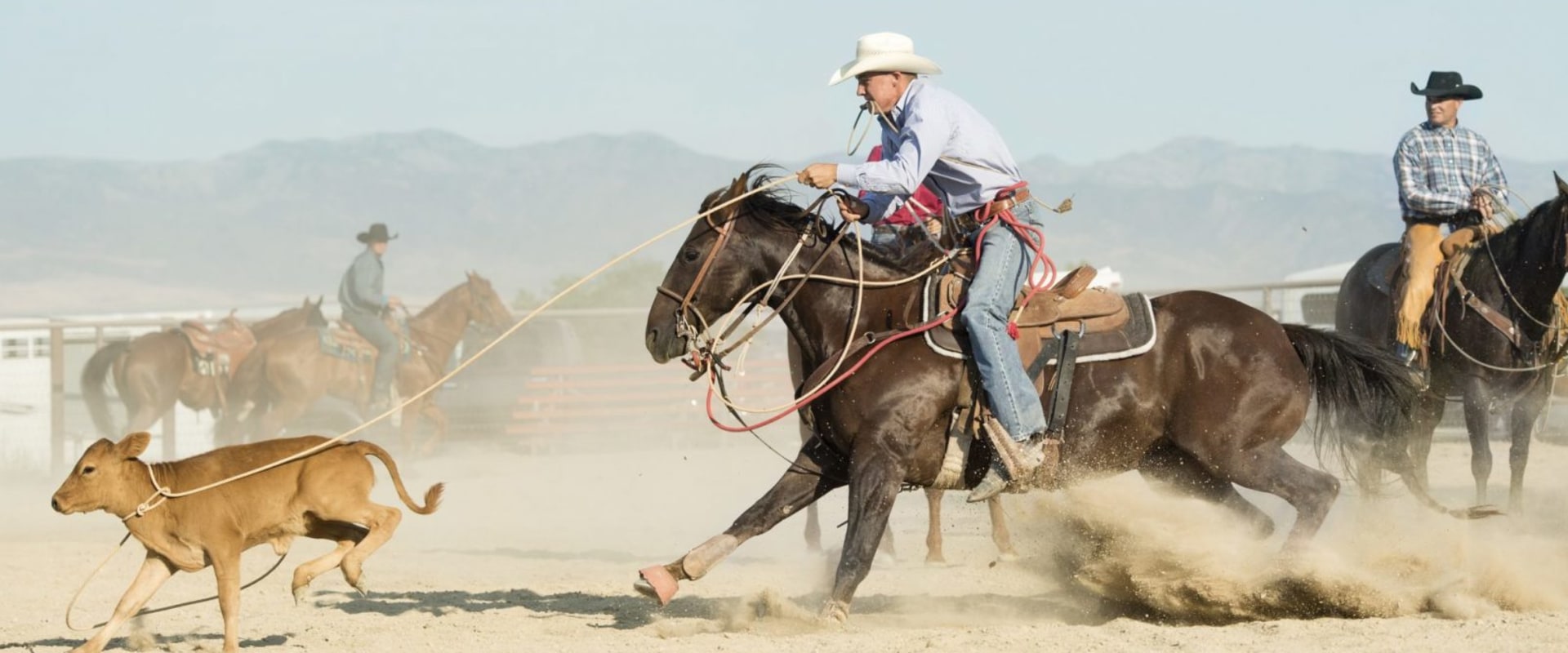 Bringing Your Pet to the Rodeo in Bossier City, Louisiana: What You Need to Know