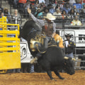 How Much Does it Cost to Attend the Rodeo in Bossier City, Louisiana?