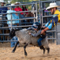 First Aid Services at the Rodeo in Bossier City, Louisiana