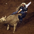 What Are the Rules for Cameras and Recording Devices at the Rodeo in Bossier City, Louisiana?