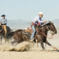 The Black Rodeo National Finals: Get Ready for an Exciting Event in Bossier City, Louisiana!