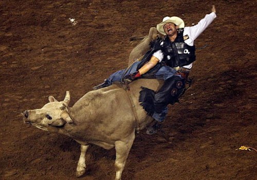 Safety Measures Taken at the Rodeo in Bossier City, Louisiana