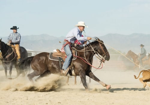 The Black Rodeo National Finals: Get Ready for an Exciting Event in Bossier City, Louisiana!